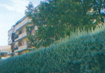 1979 Monterotondo (RM)